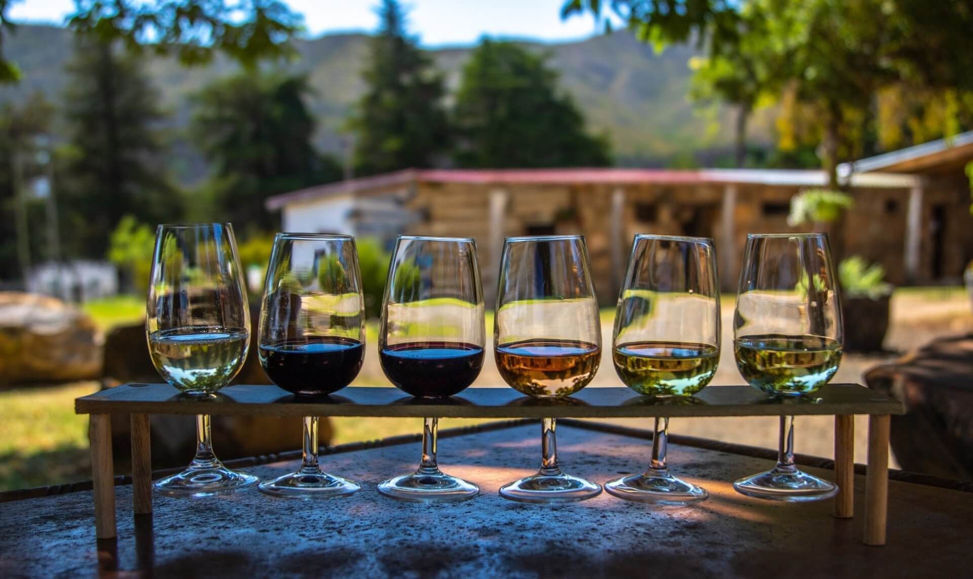 Temecula Wine Tour Packages