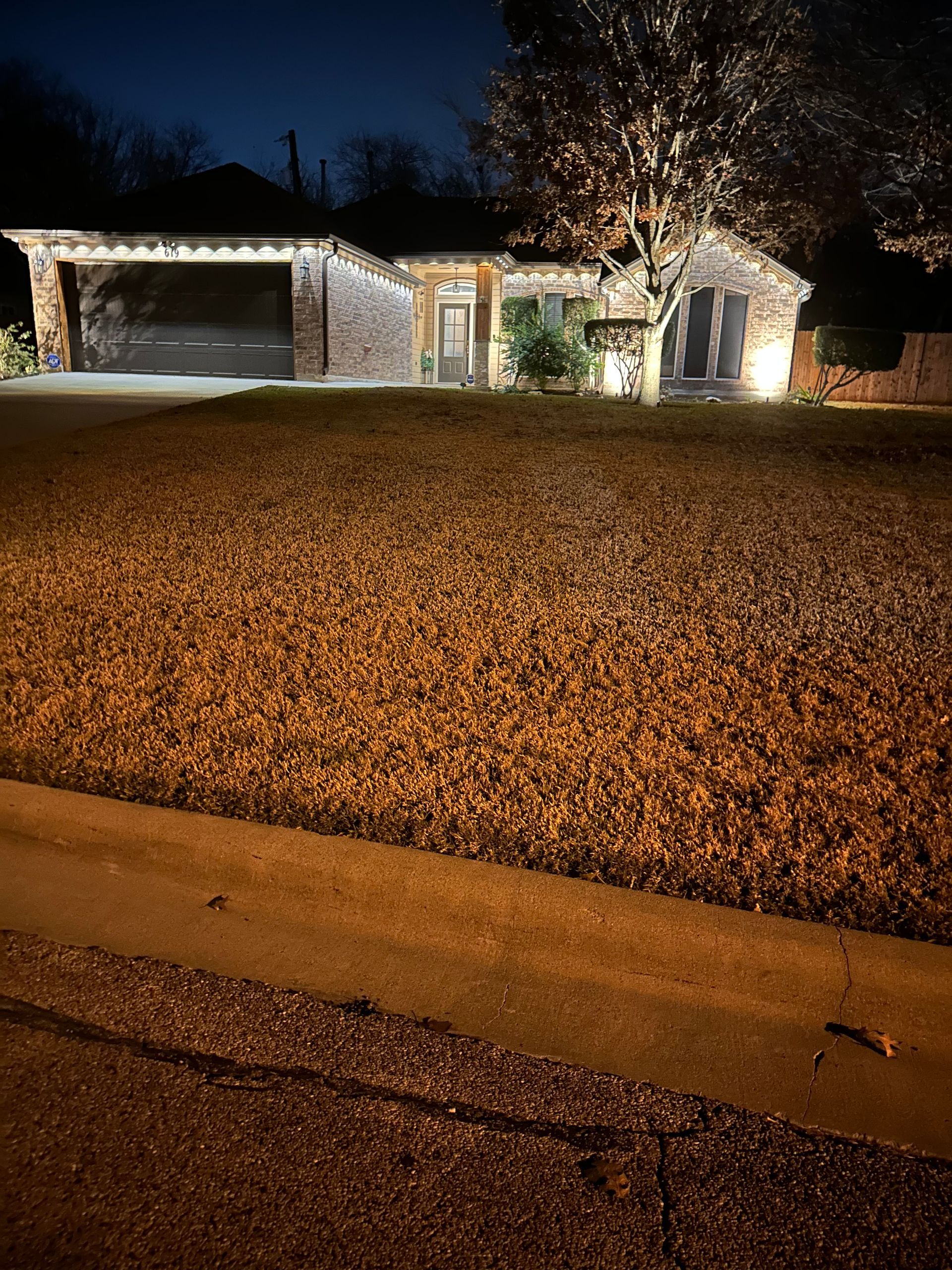 House outlined with white holiday lights at night, with a lit tree in the yard and a fallen leaf-covered lawn.
