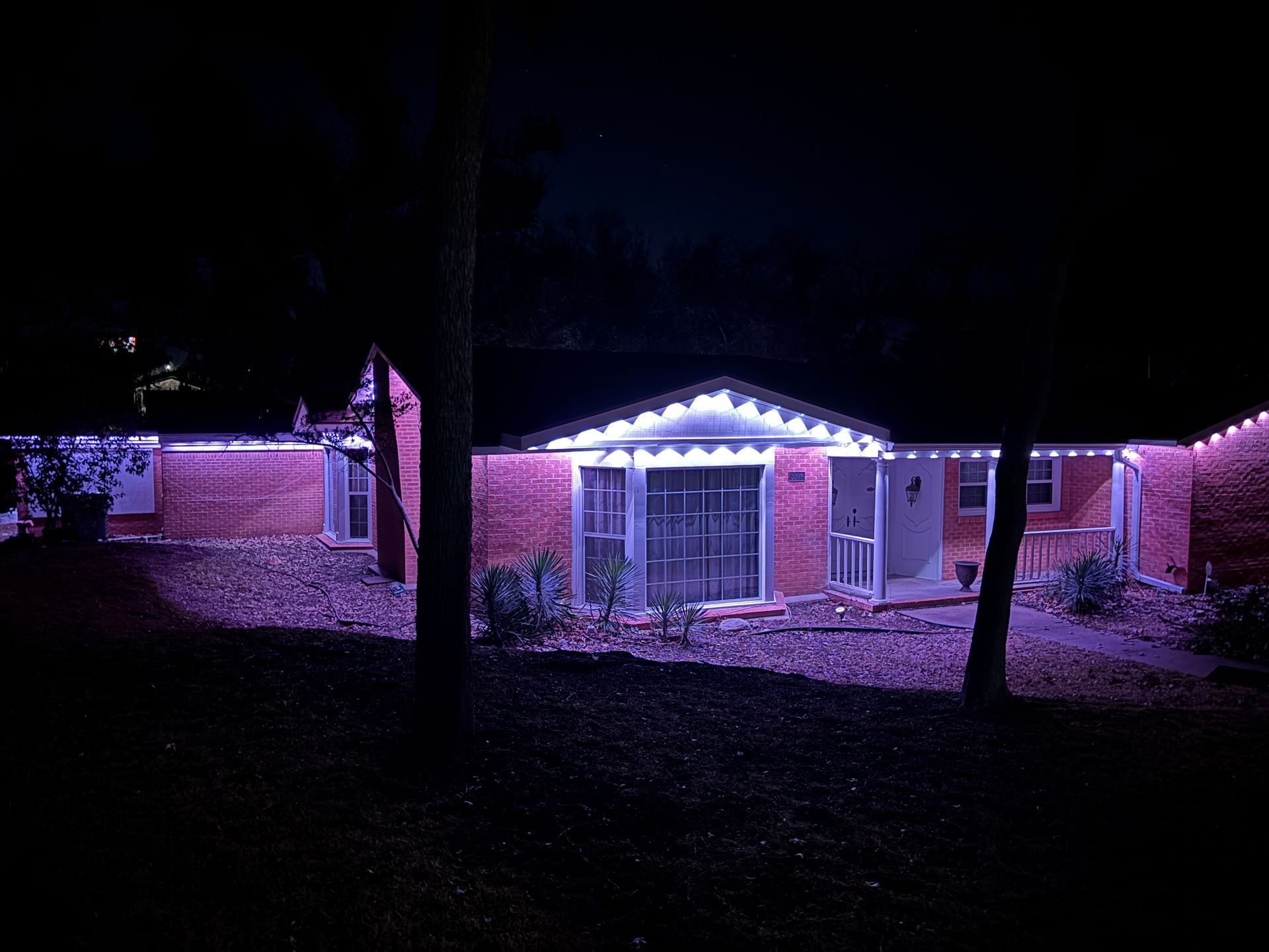 House lit with purple and white lights at night, seen through dark trees