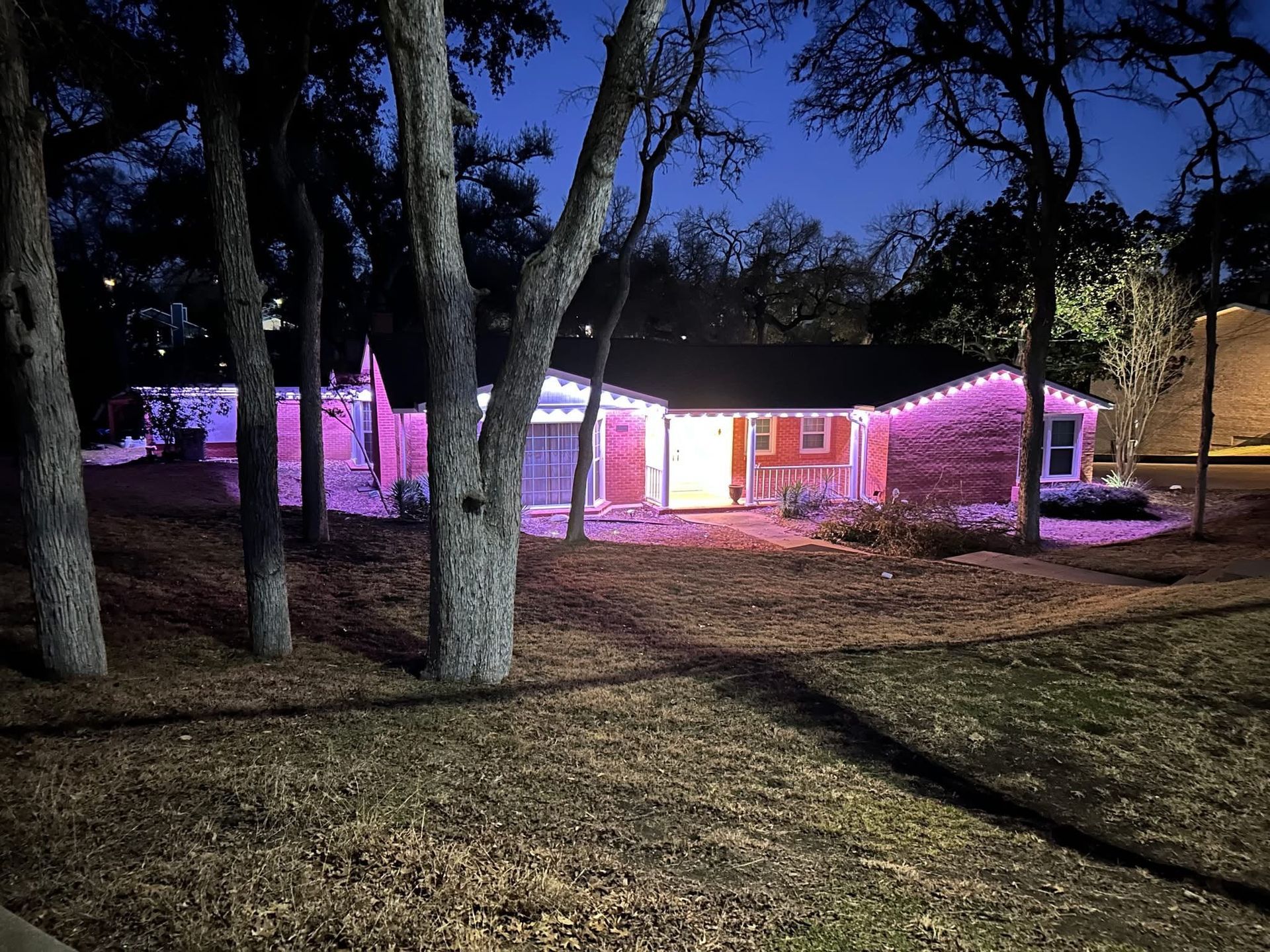 Small house at night lit with pink and white lights, seen through trees in a yard