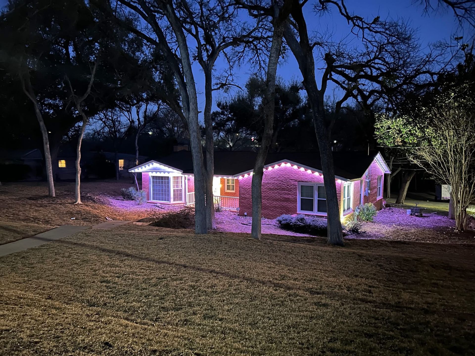 Small house at night lit with pink-purple lights among tall trees and grass.