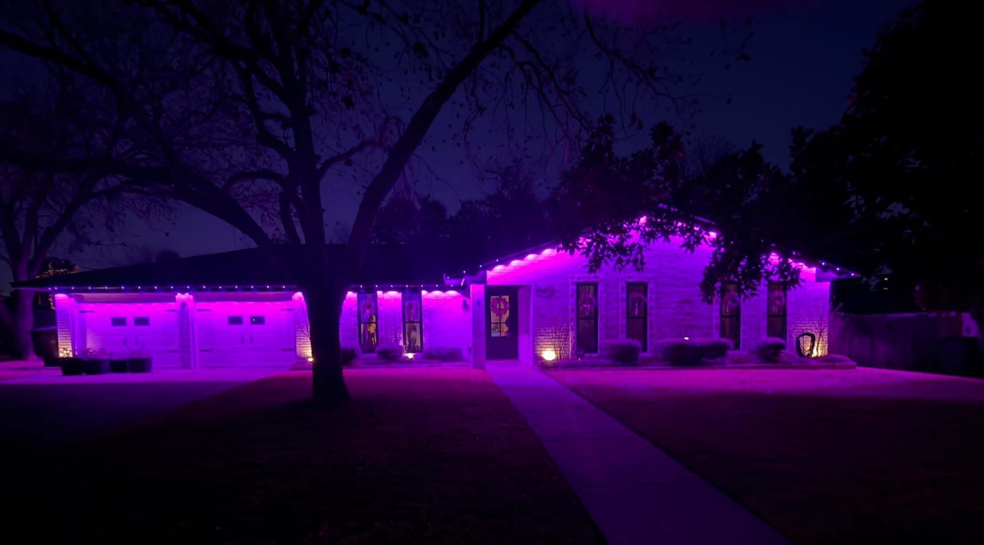 Single-story house lit in purple at night with a front yard and driveway
