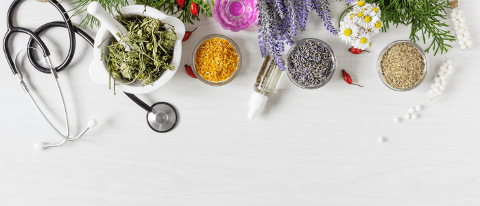 Bowls of plants showcasing natural remedies like mint, lavender, and basil for holistic health.