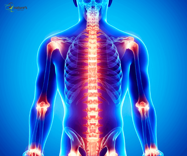 An illustration showing nerve pathways highlighted in red to indicate pain signals.