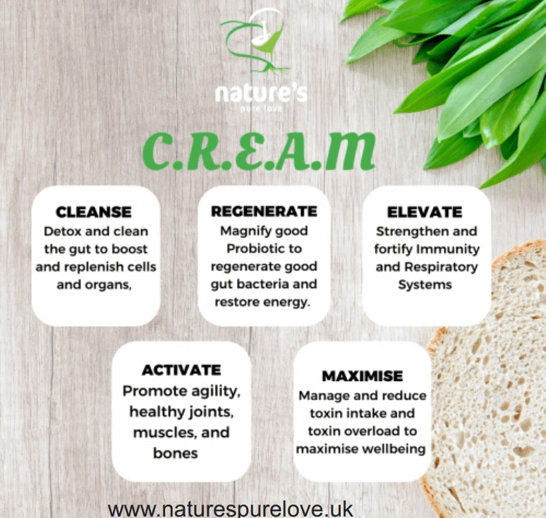 An image depicting the C.R.E.A.M. model: Cleanse, Regenerate, Elevate, Activate, Maximize.