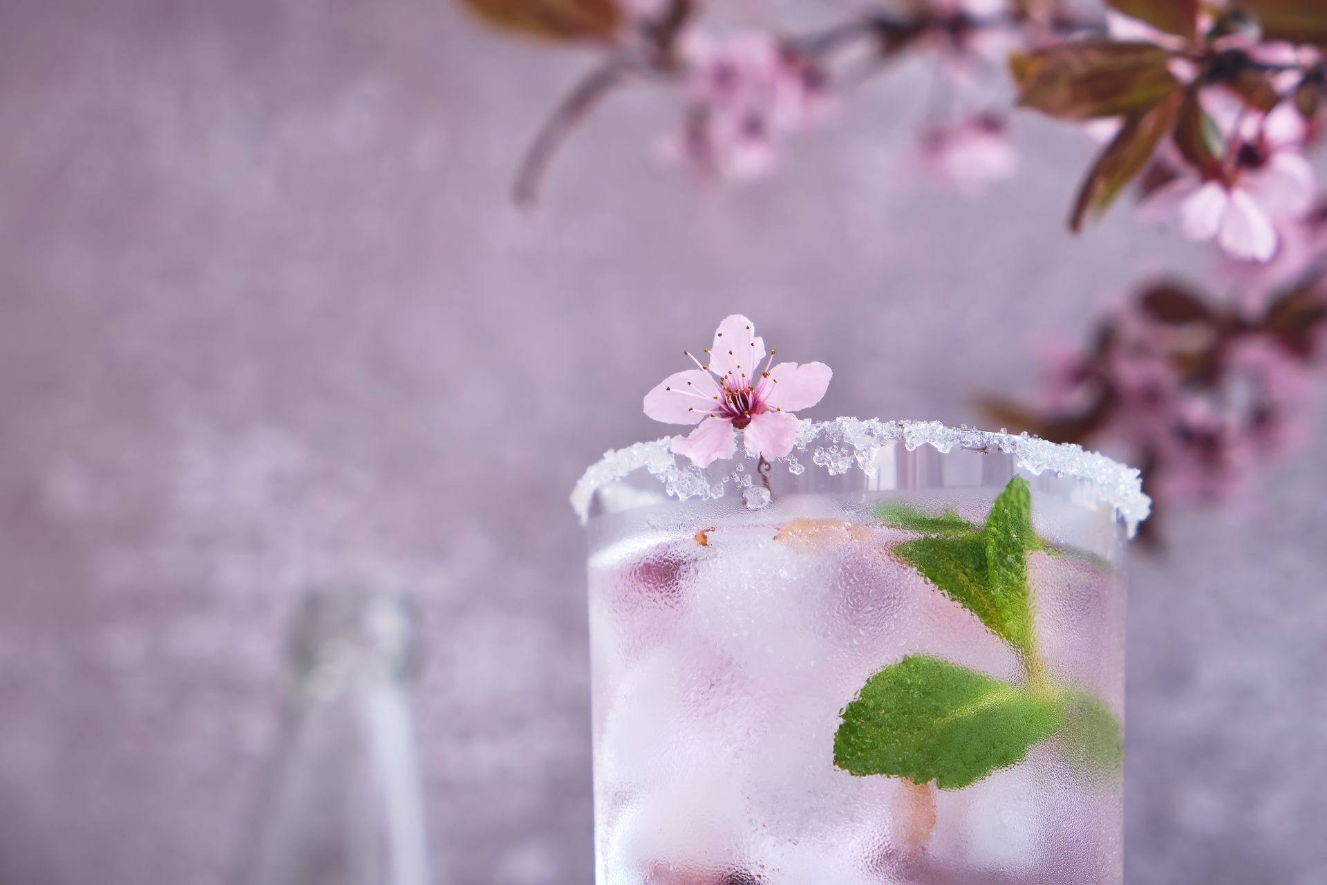 cherry blossom drink with cherry blosson tree in background
