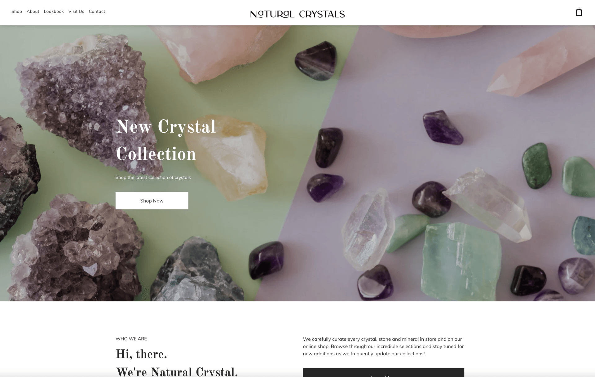 zbspos website design retail ecommerce
