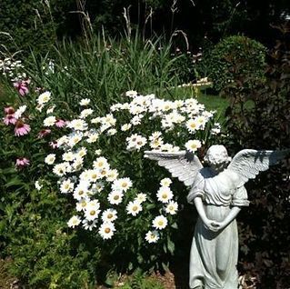 A statue of an angel in a garden surrounded by flowers
