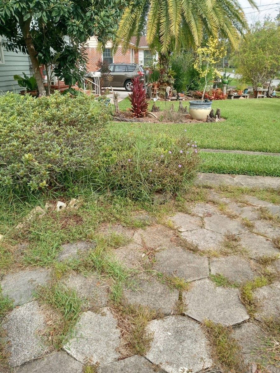 EU Before — Jacksonville, FL — Eden’s Utopia Inc.