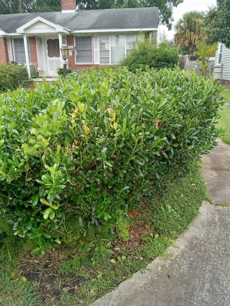 Edens Utopia Before — Jacksonville, FL — Eden’s Utopia Inc.
