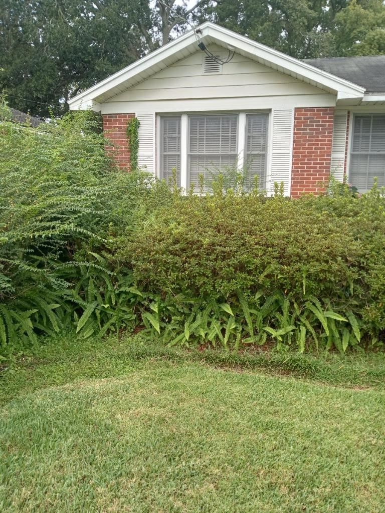 Edens Before 1  — Jacksonville, FL — Eden’s Utopia Inc.