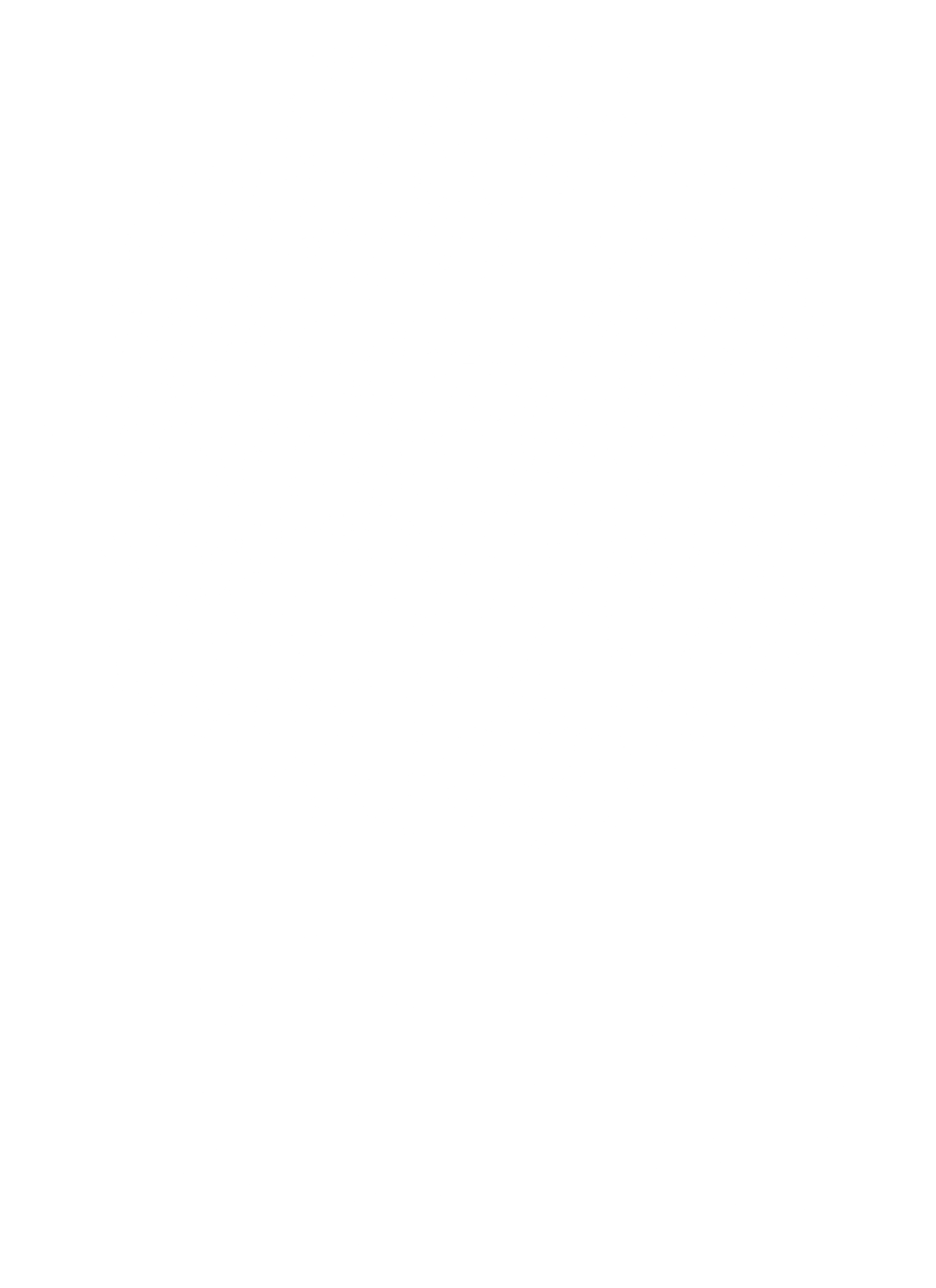 Empty white background.