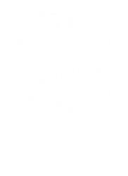 Empty white background.