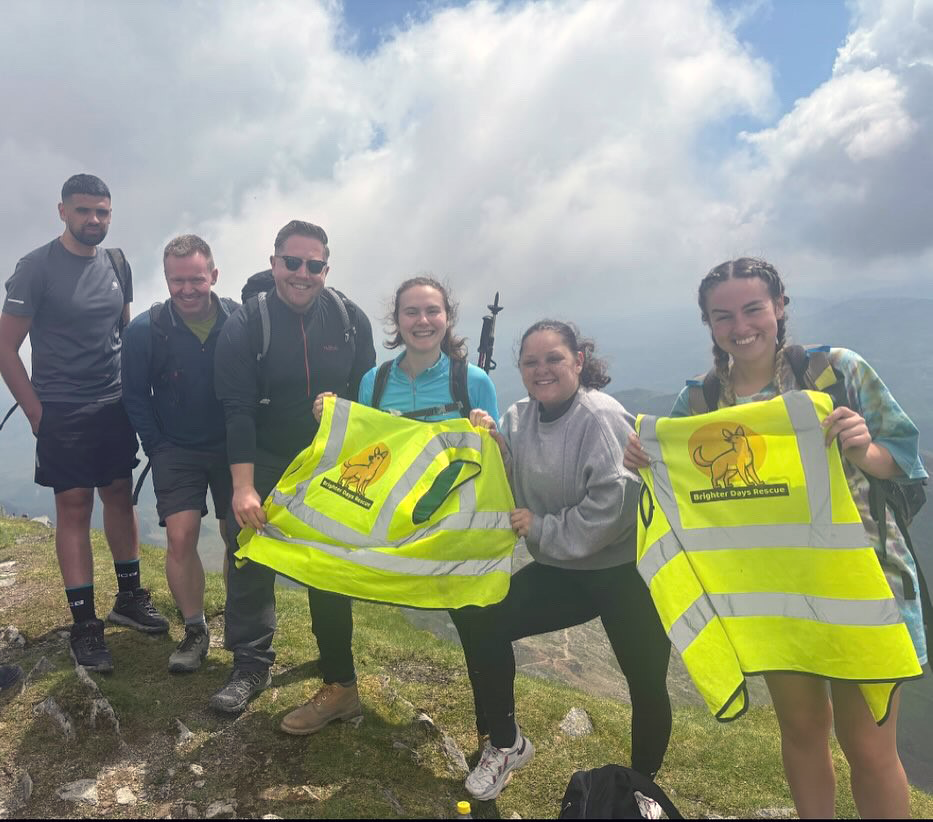 A group of people standing on top of Snowdon holding safety vests.