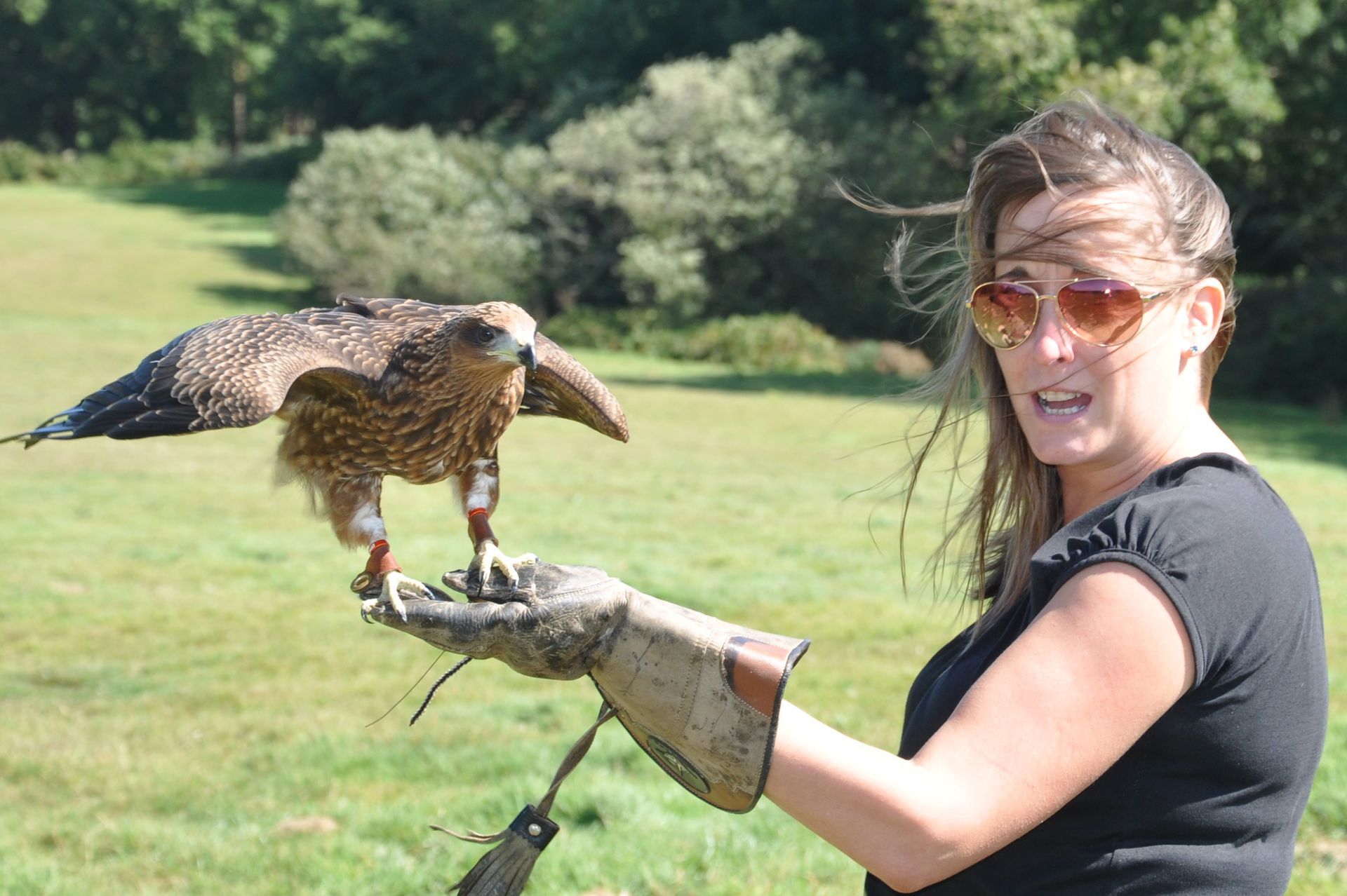 A woman is holding a bird on her hand in a field.