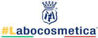 iconografia logo Chemi Store