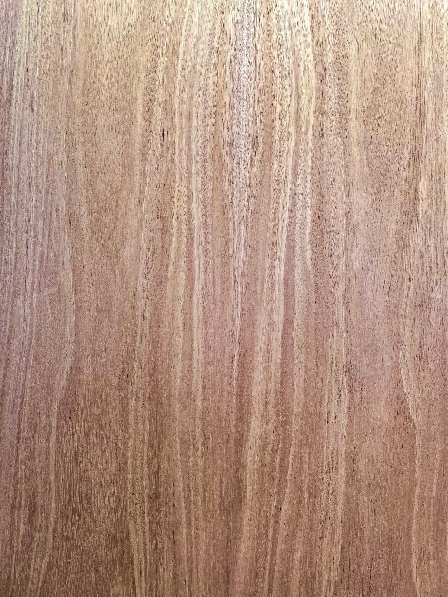 A close up of a piece of wood showing the grain and texture.