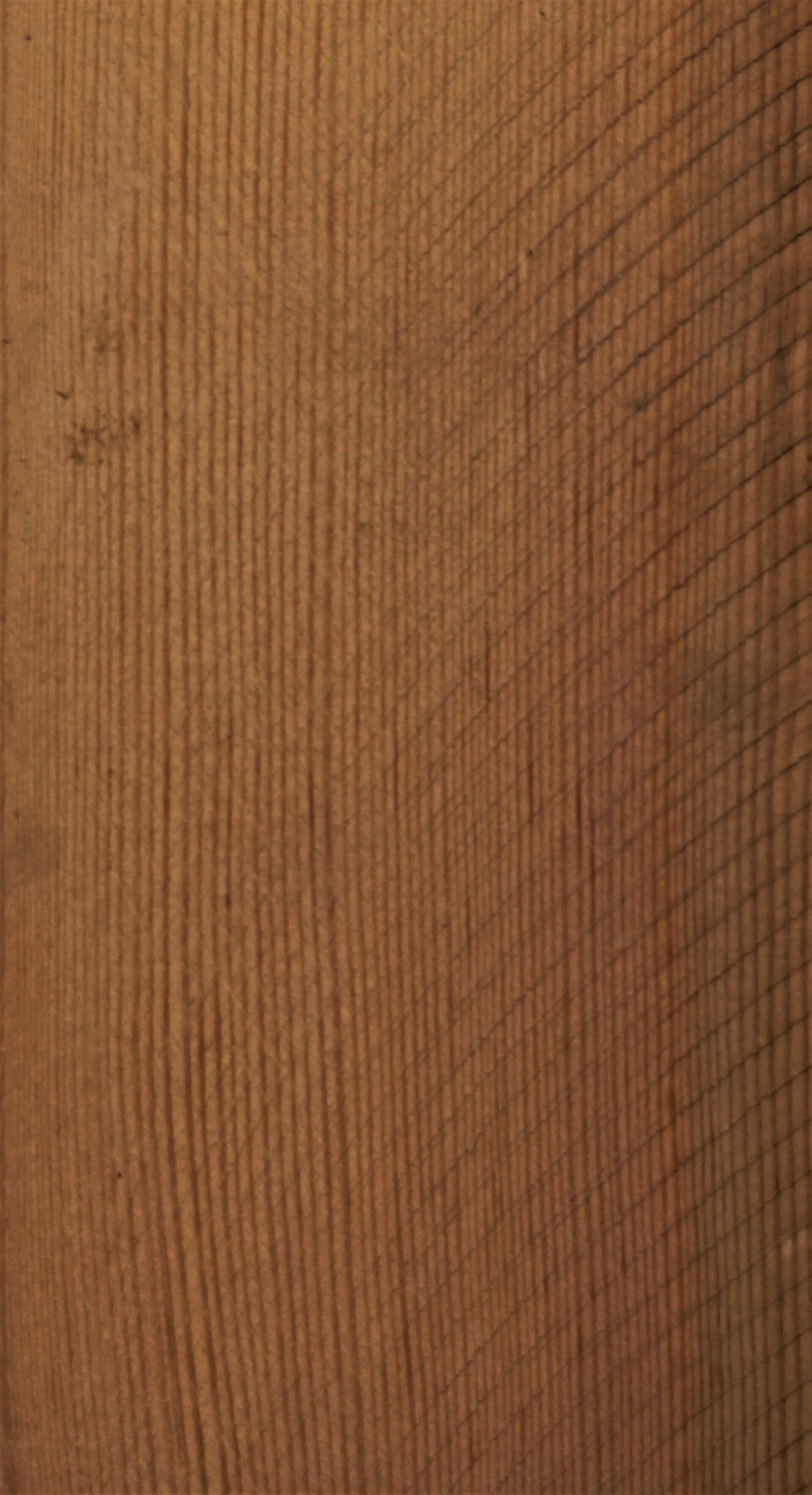 Douglas+Fir