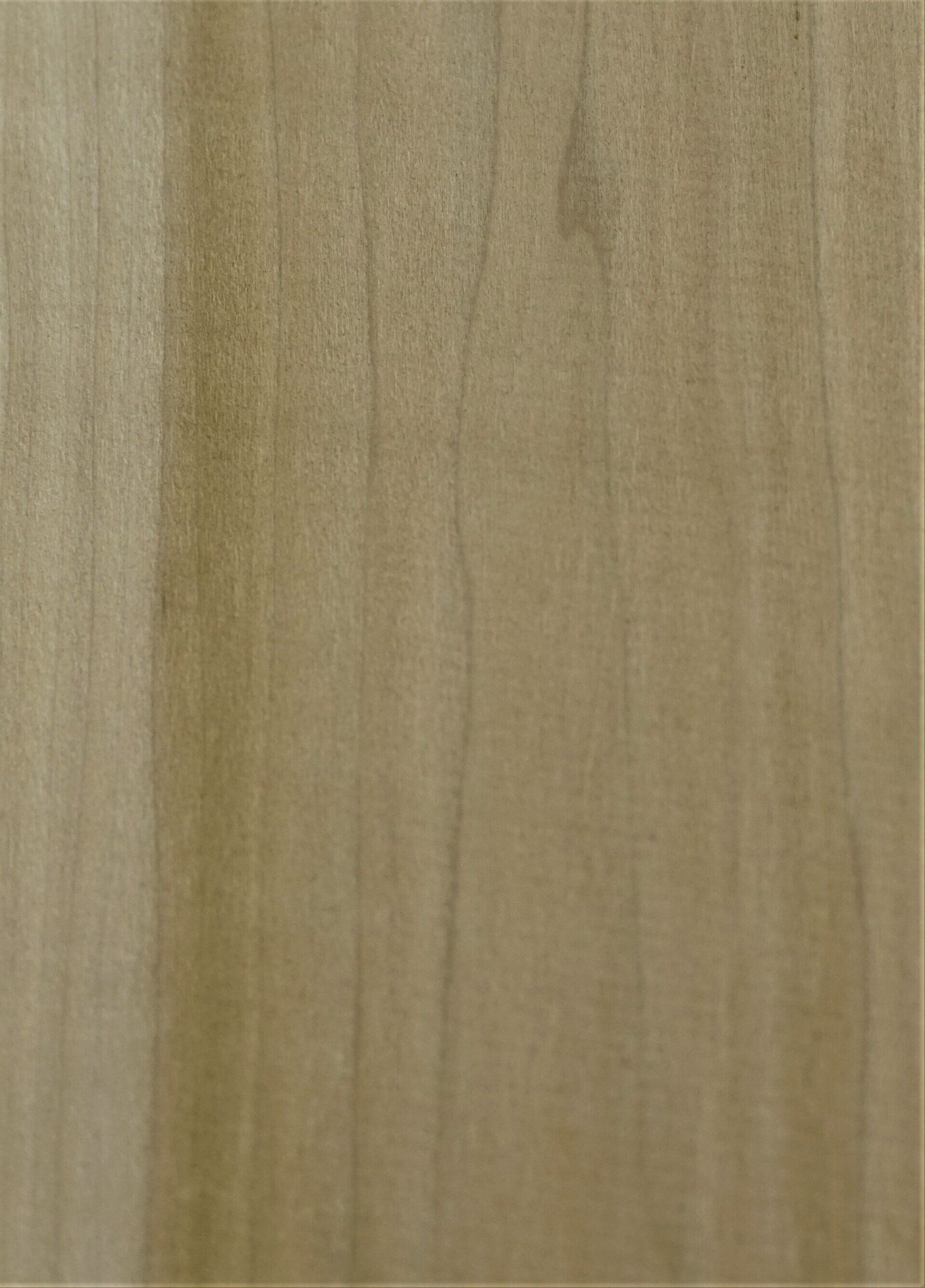 Poplar