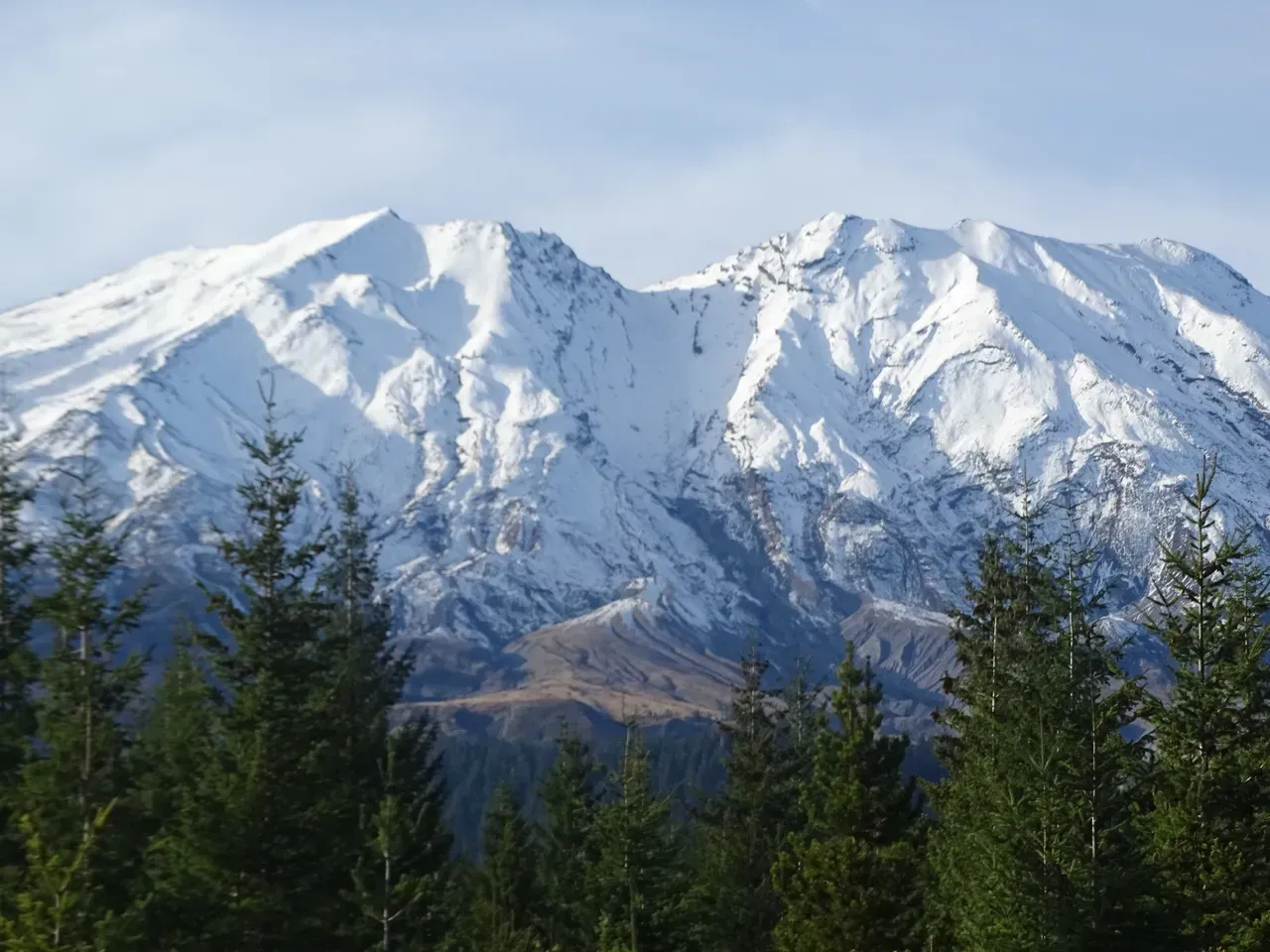Snow-covered mountains above evergreen trees under a clear blue sky.