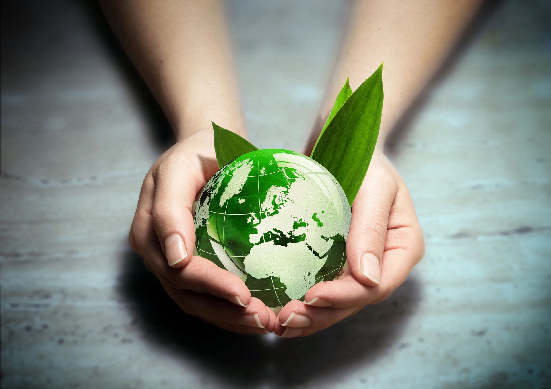hands holding globe