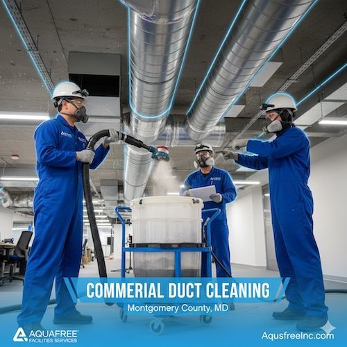 professional painting contractor
