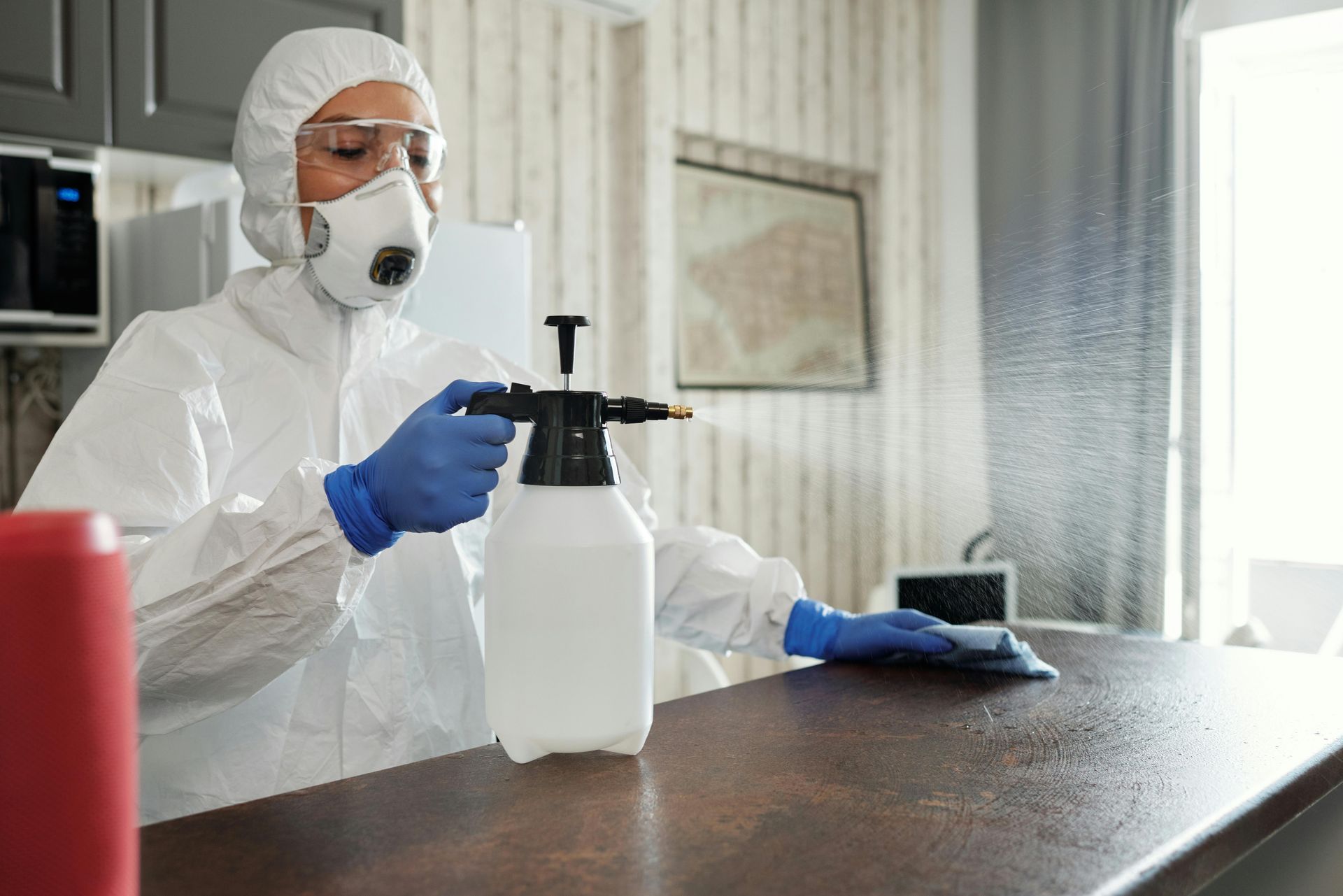 Virus cleanup services