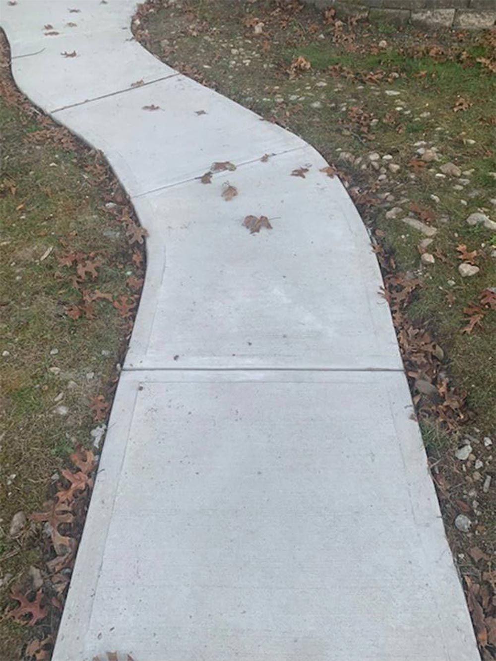 Curving concrete sidewalk with scattered leaves, bordered by grass and small trees.