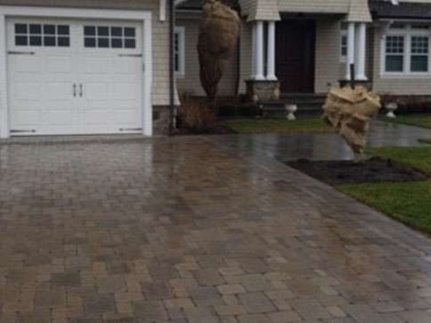 Driveway paved with bricks, wet from rain. Trees wrapped in burlap, house in background.