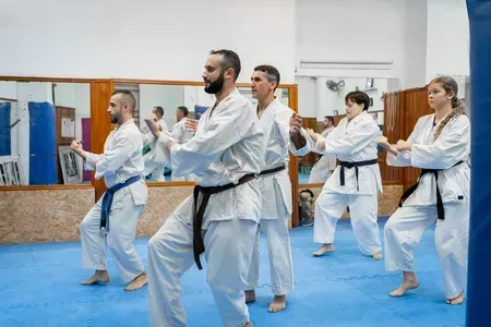 Martial arts class practicing synchronized stances in a dojo with blue mats and mirrors