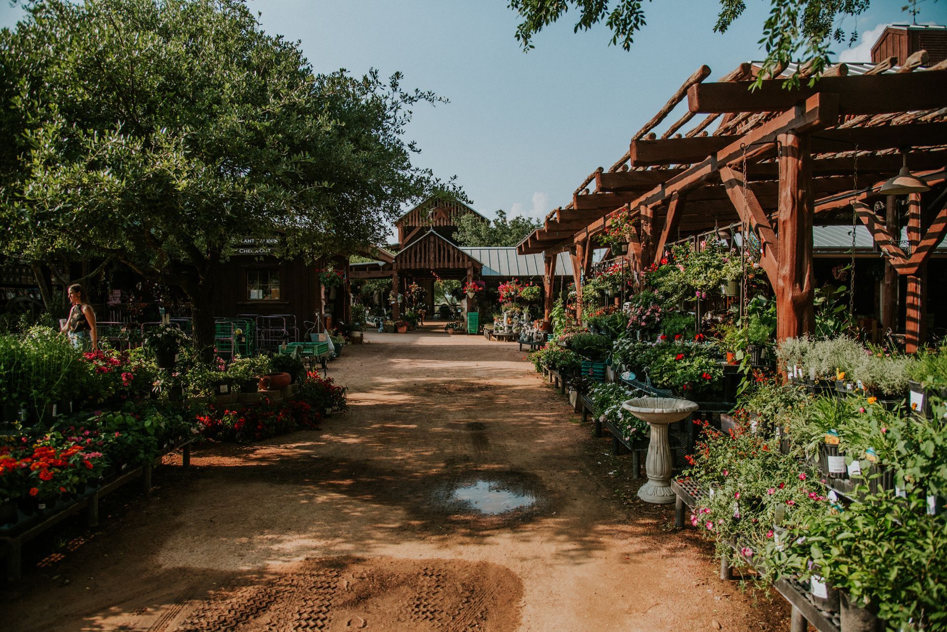 Garden center with plants, wooden structures, and a dirt path.