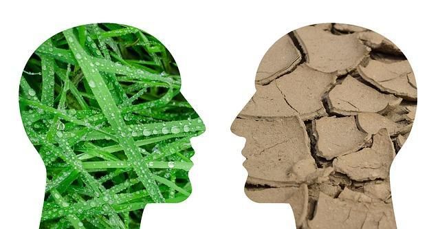 Duas representações humanas com verde da natureza e terra seca