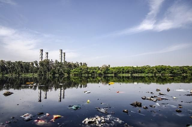 Imagem de meio ambiente poluído para inspirar a reconexão com os bens naturais