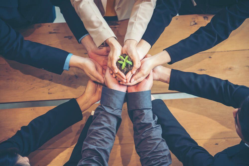 Um grupo de pessoas está segurando uma pequena planta nas mãos.