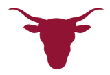 STEER HEAD