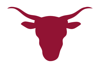 STEER HEAD