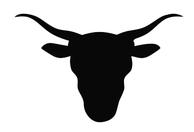 STEER HEAD