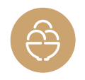 Ice Cream Icon
