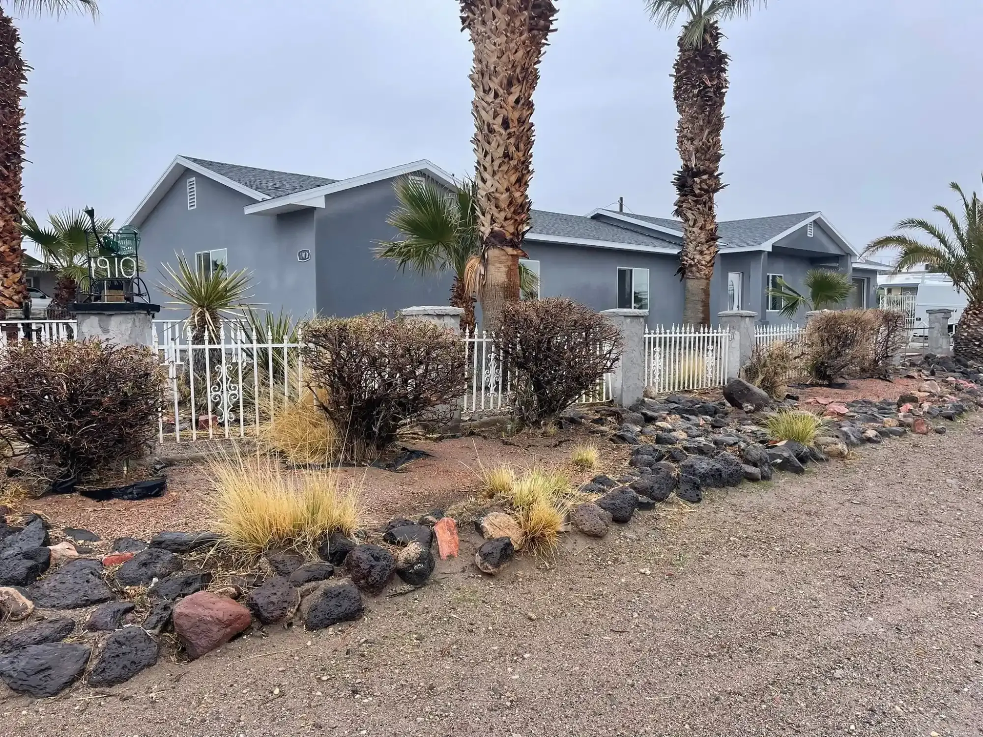 Desert front yard with rocks, shrubs, white fence, and tall palm trees in front of a gray house
