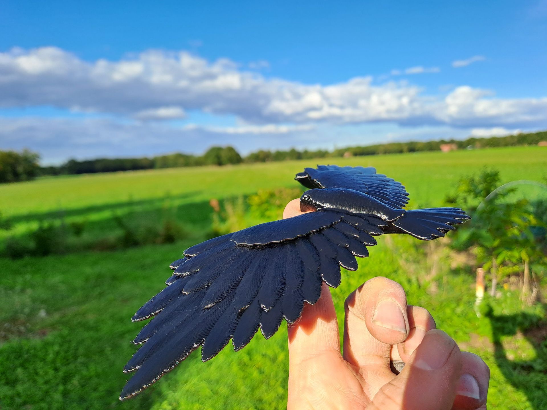 Balance bird