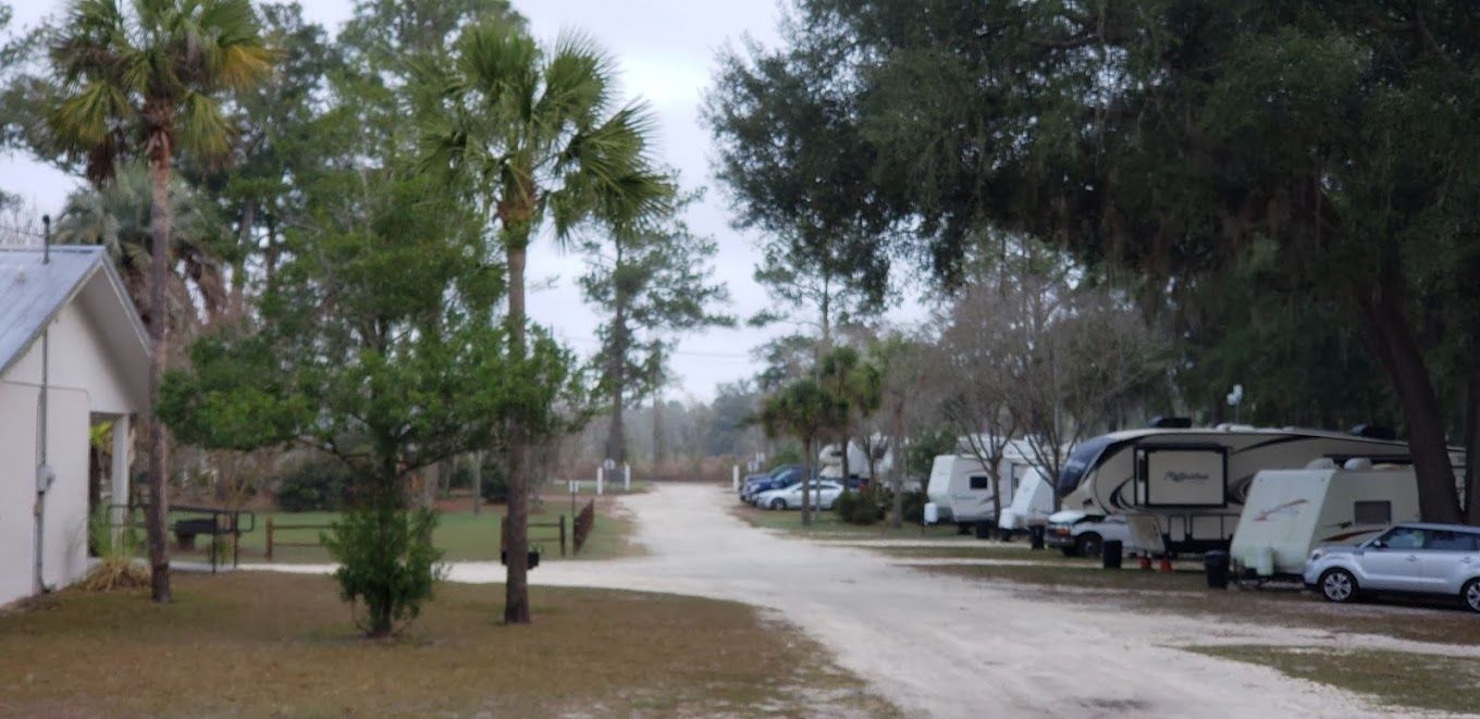 A row of rvs parked on the side of a dirt road.