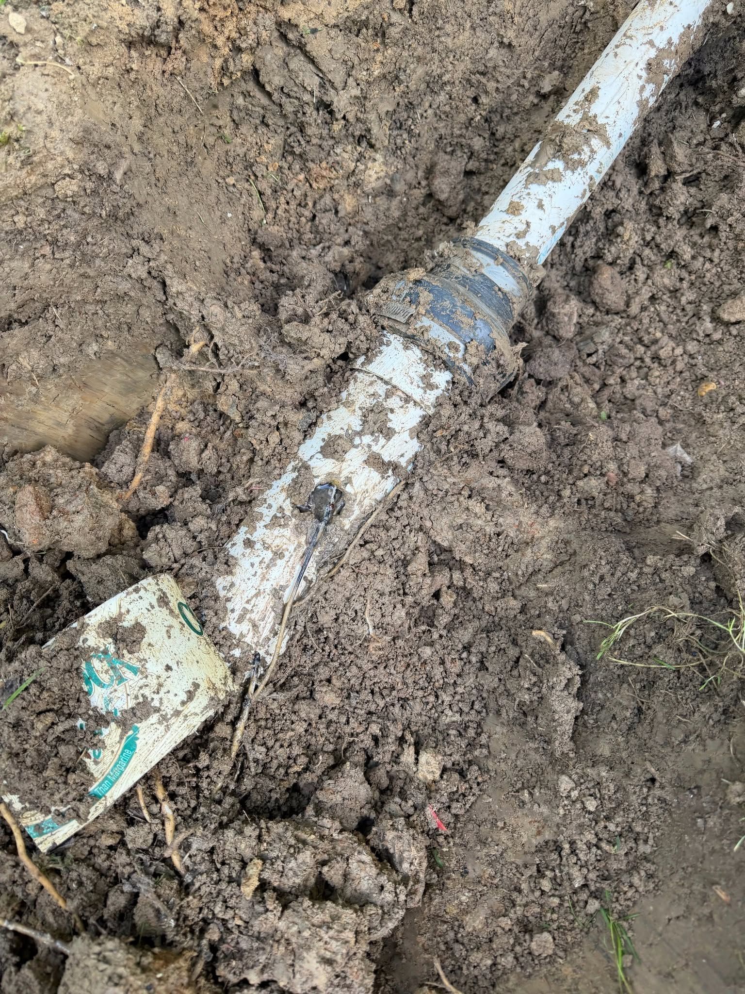 Dirty shovel lying in mud, with a white handle and blue-tipped blade.