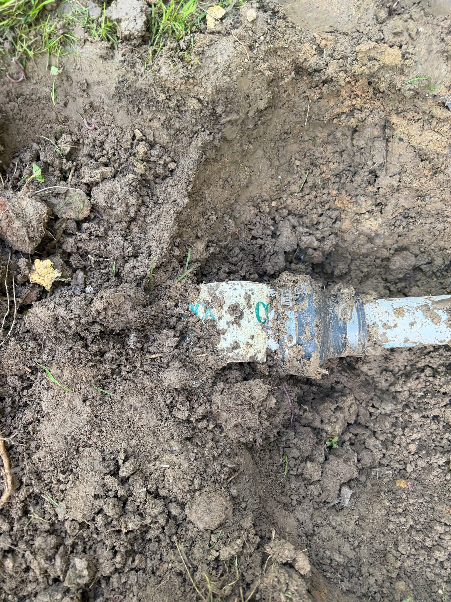 Partially buried blue pipe in muddy soil with exposed joint and clamp