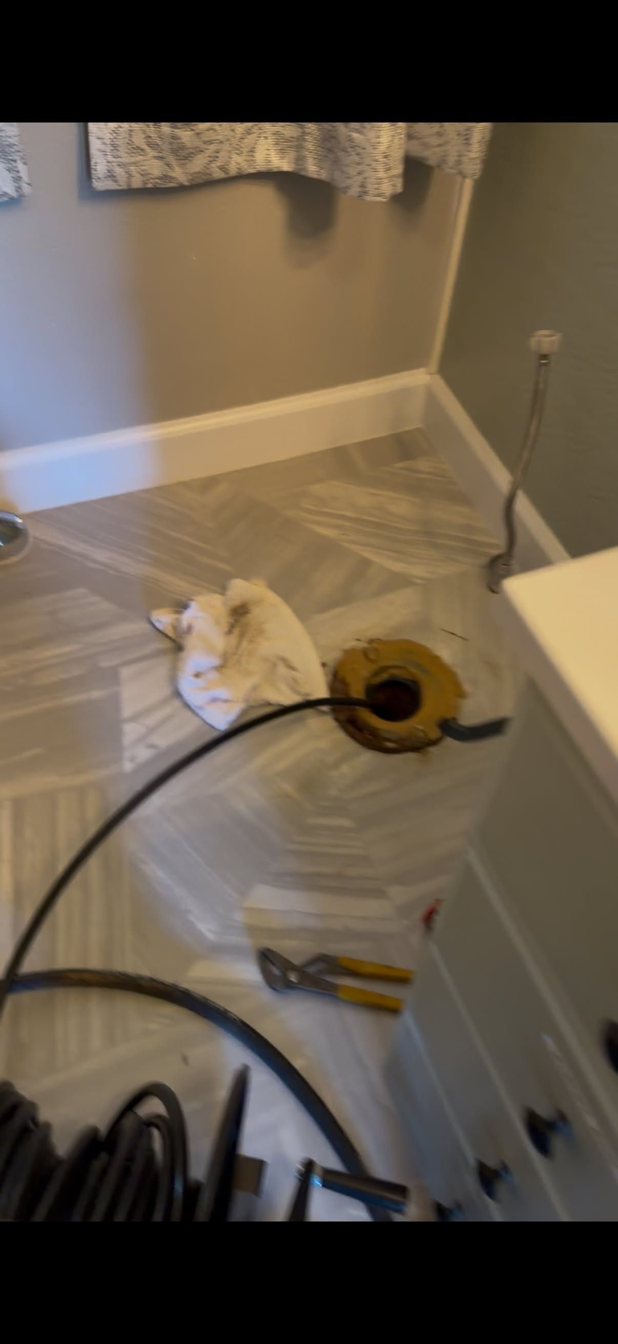 Laundry room floor with scattered papers, a sunflower, and a white cat lying near the wall.