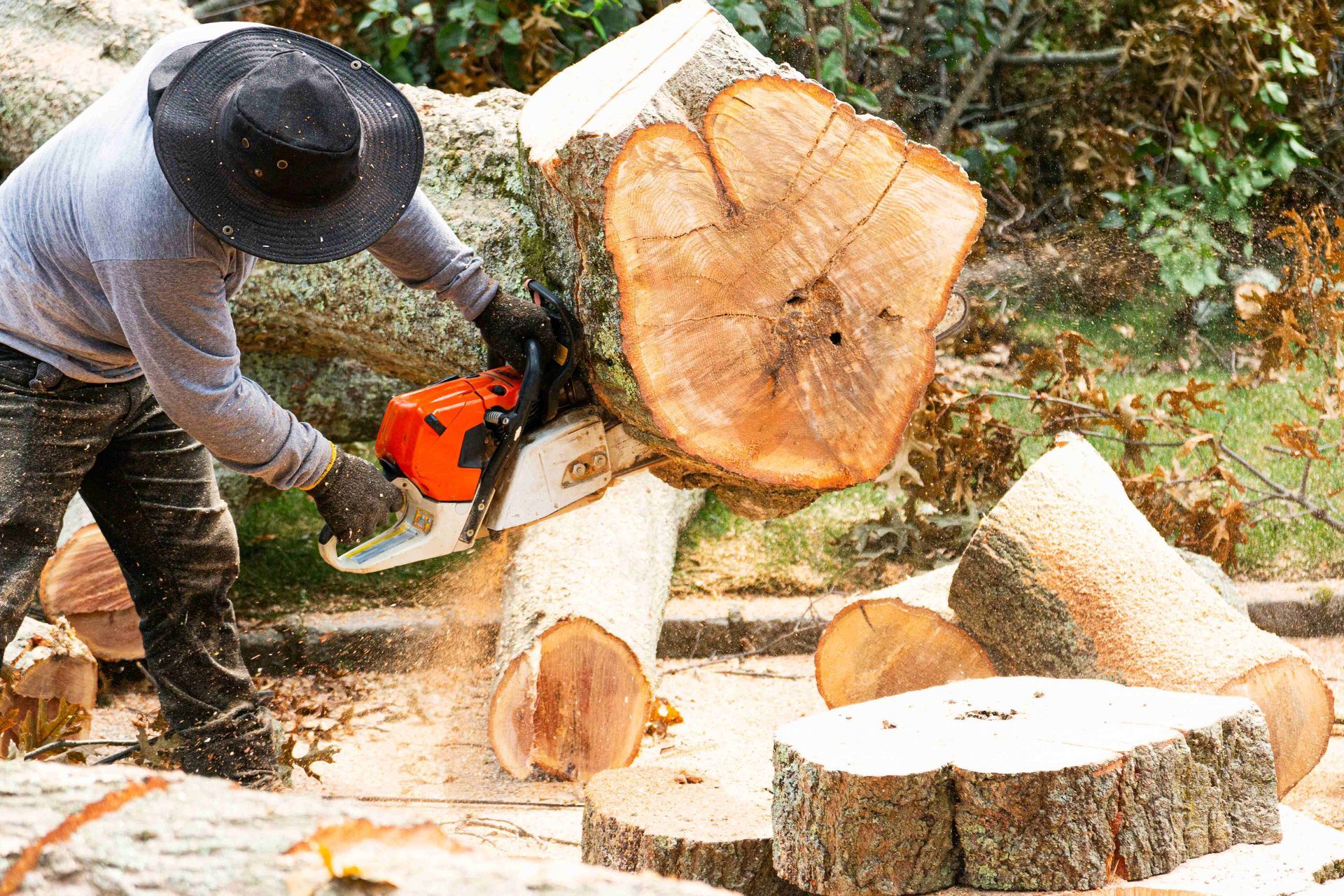 a man is cutting a large log with a chainsaw