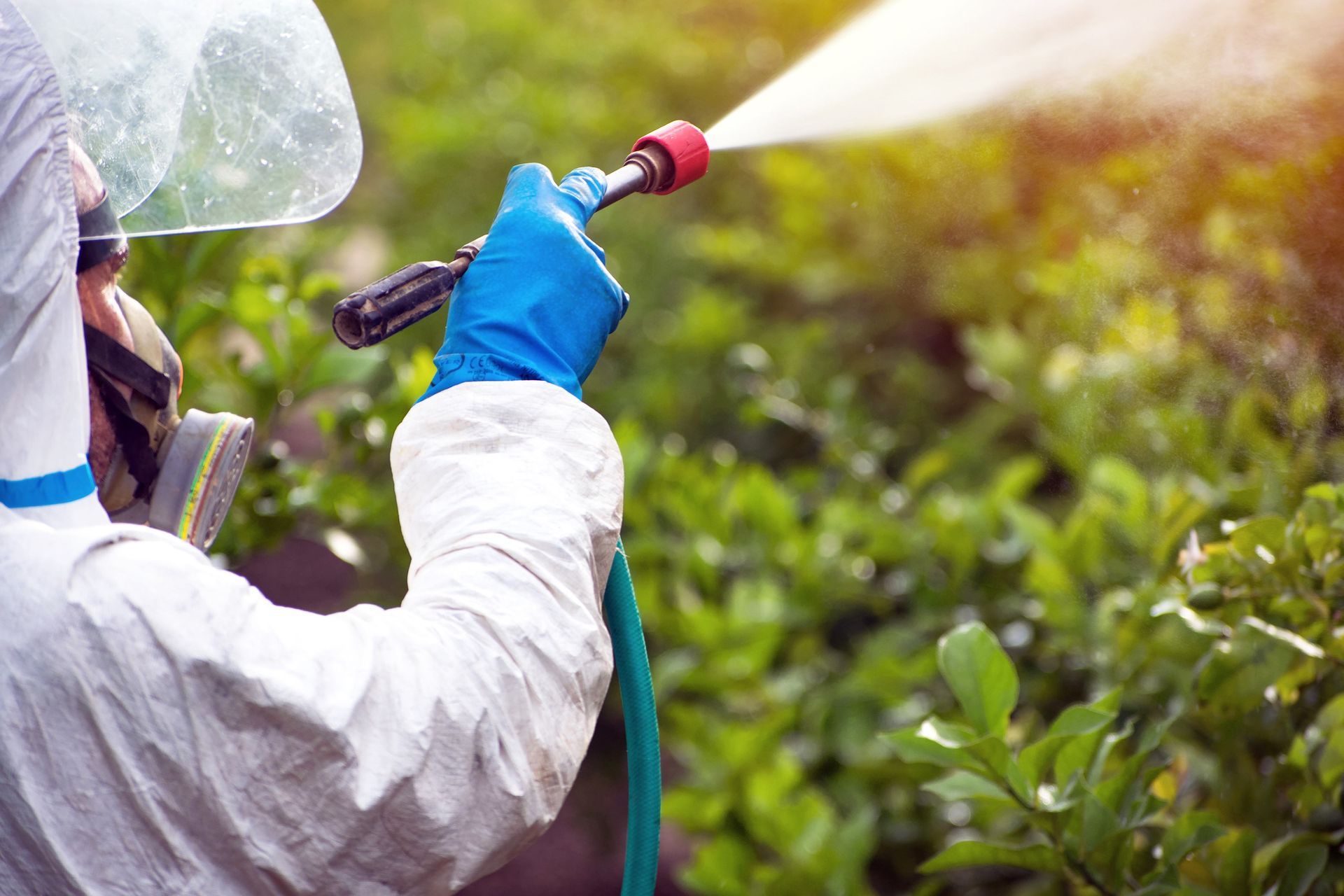 a man in a protective suit is spraying a plant with a sprayer