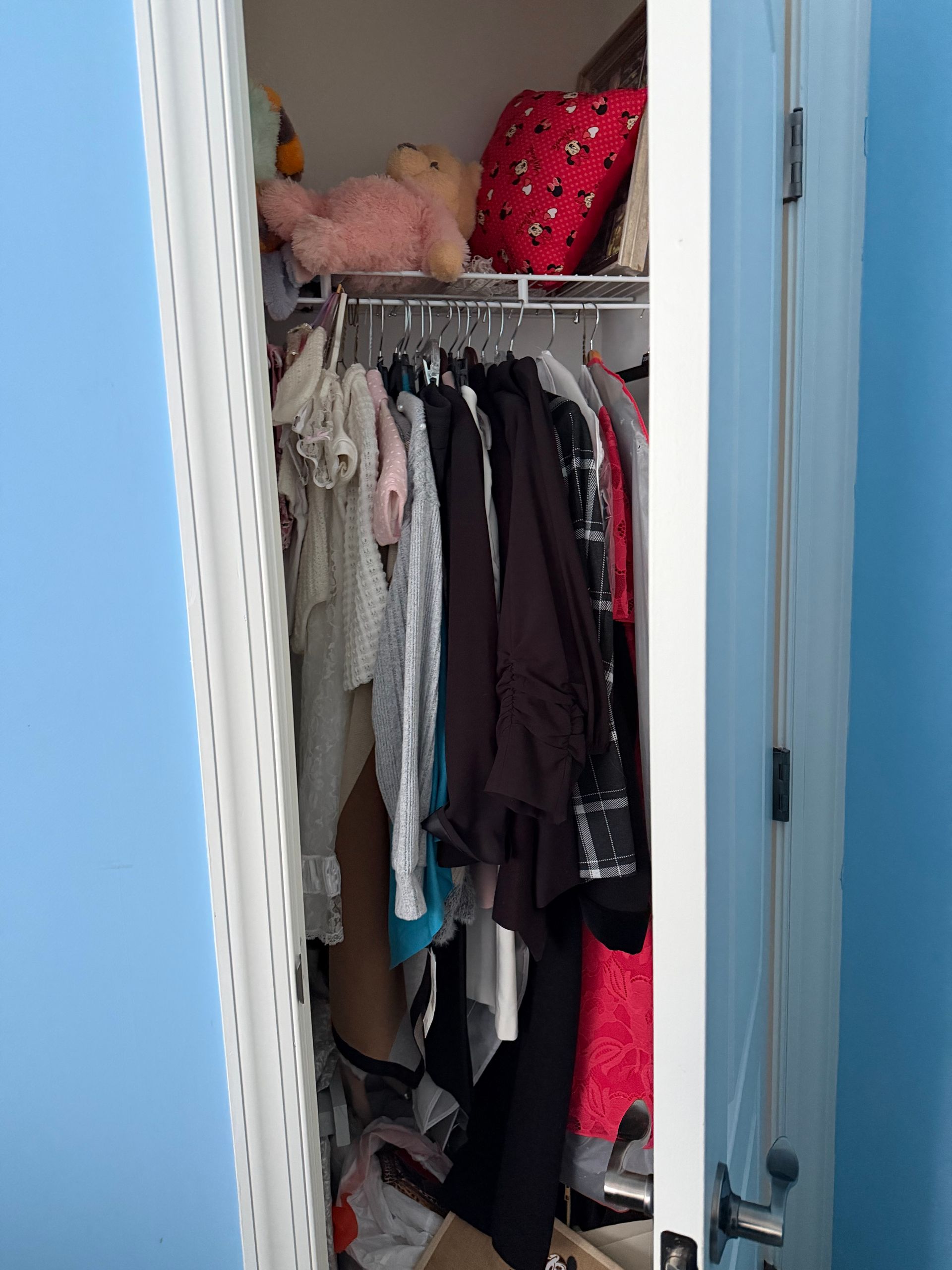 Open closet with hanging clothes, shoes, and stuffed items on the top shelf.