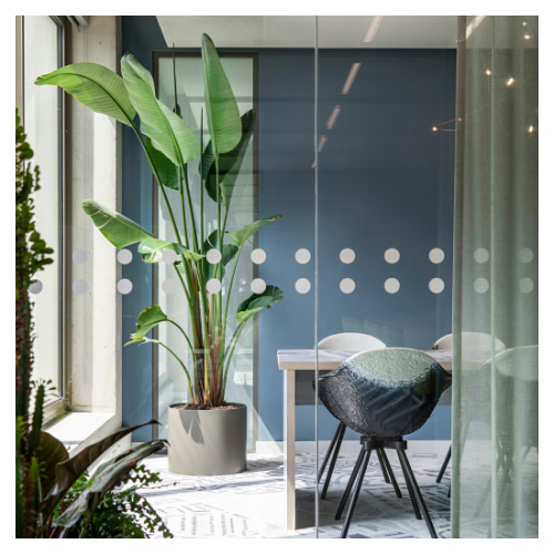 Planten voor kantoor