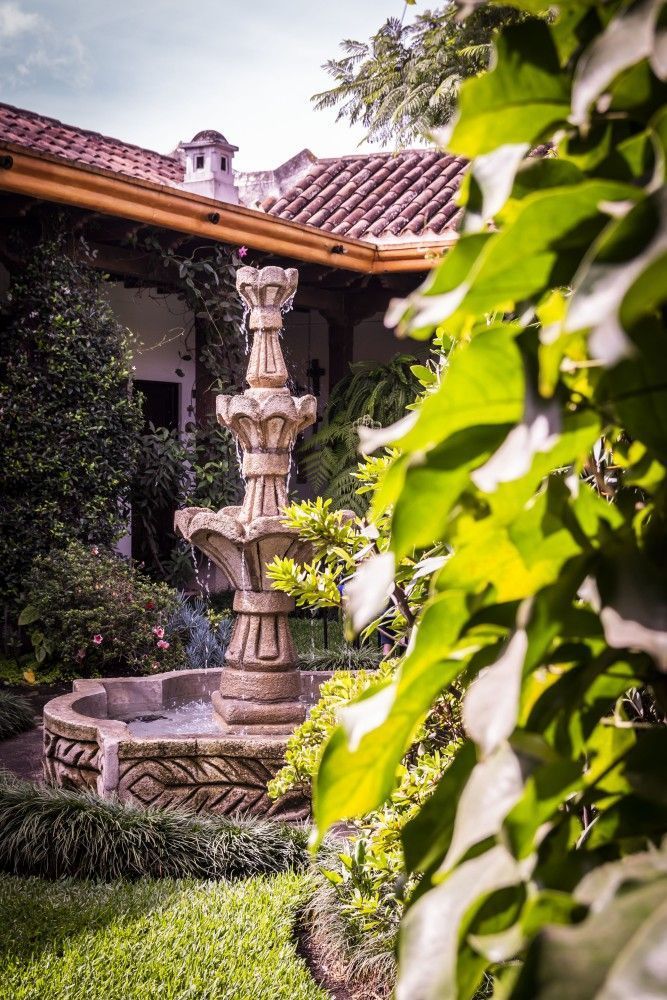Fuente en el patio junto a un patio cubierto de enredaderas con techo de tejas y exuberante vegetación.