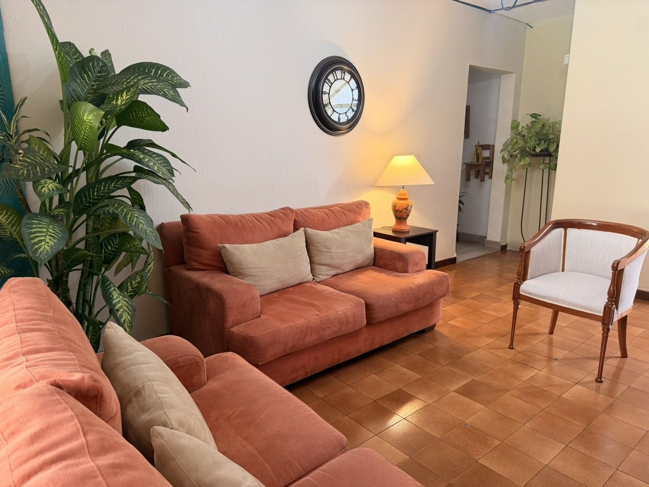 Acogedora sala de estar con sofá de terracota, sillón, lámpara, reloj de pared y plantas en macetas.